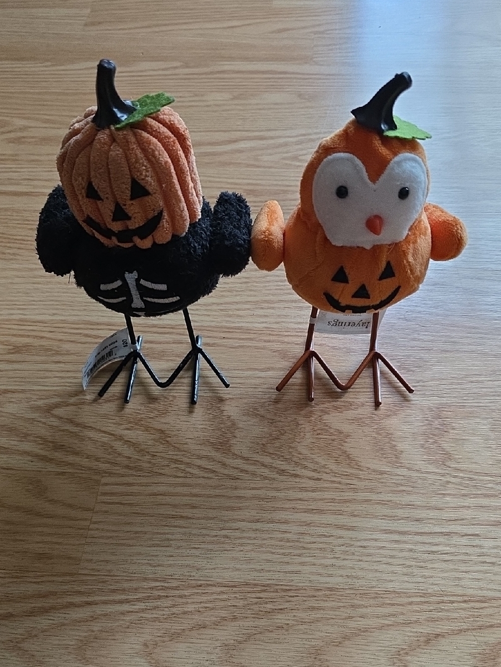 Bird Pumpkin Buddies Halloween Decor